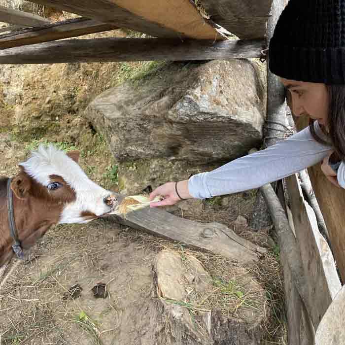 anushka sharma in bhutan